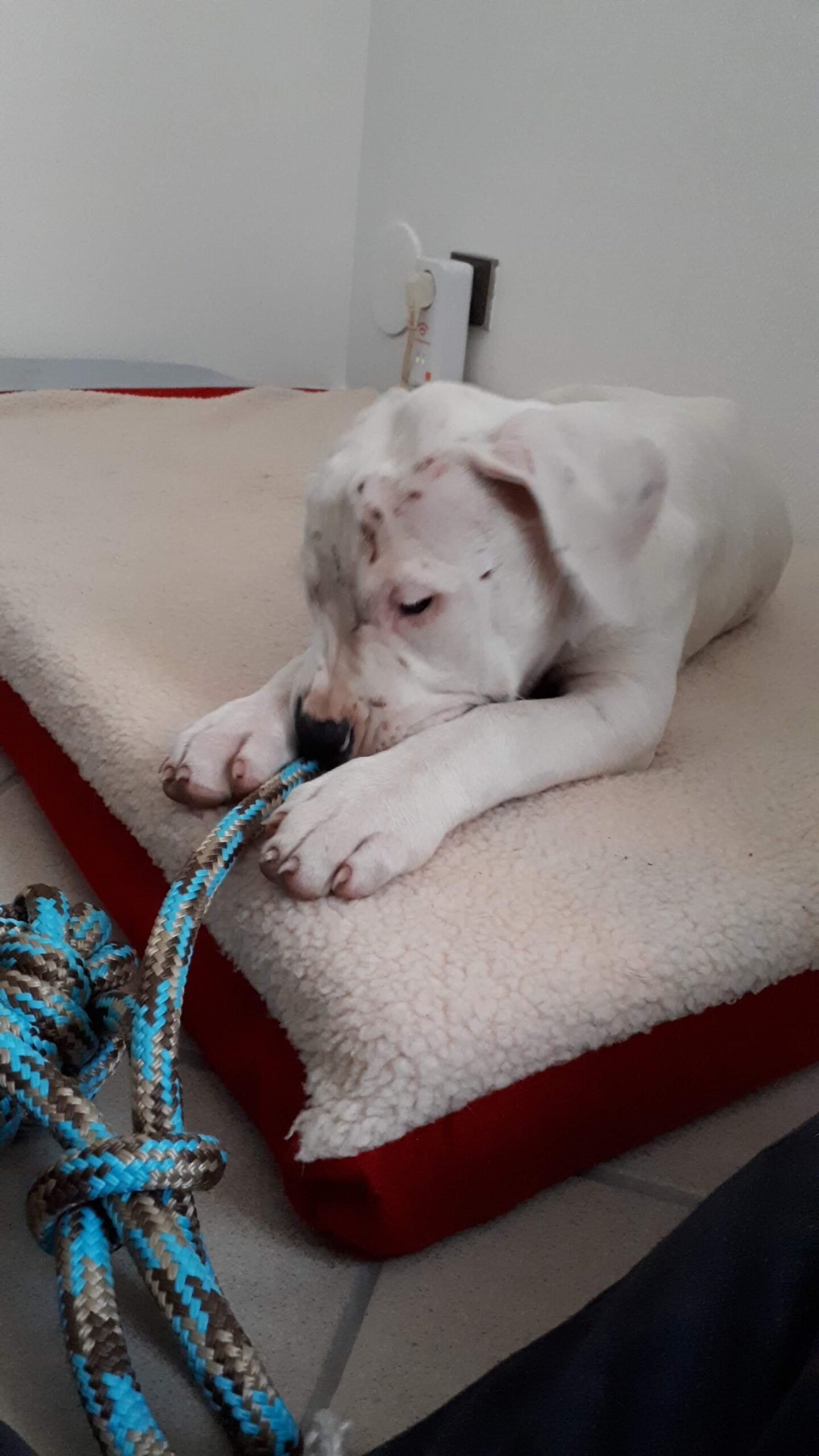 A propos img 20191013 085007