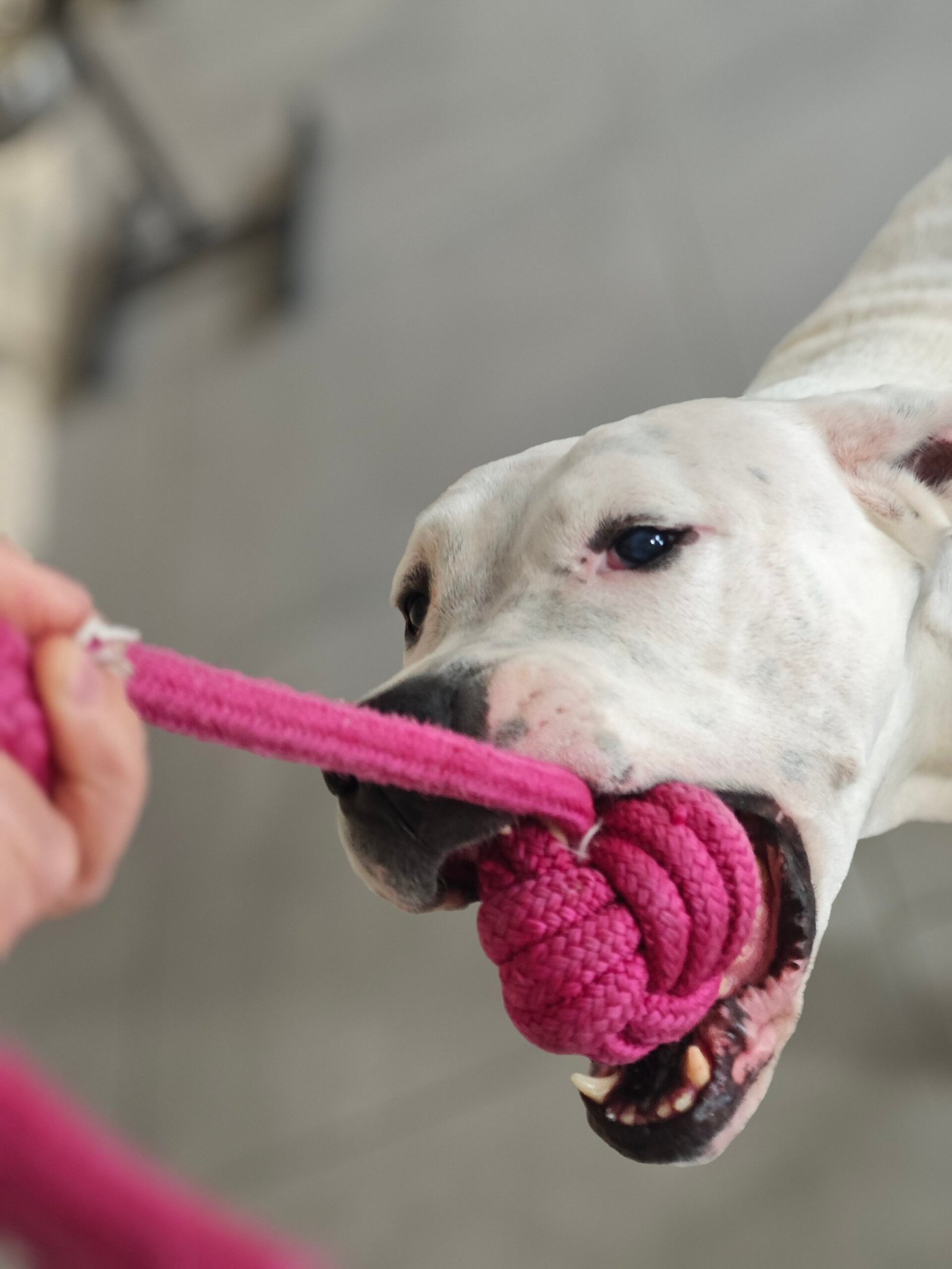 A propos img 20251009 134856