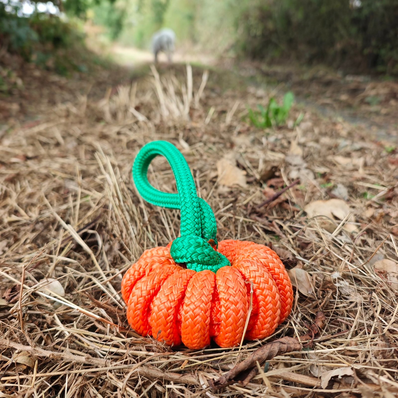 Jouet Pumpkin pour chien en forme de citrouille